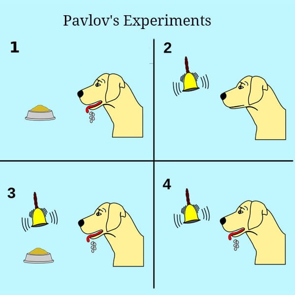 pavlov child experiments